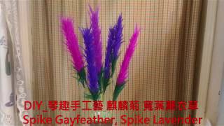 DIY_琴趣手工藝 麒麟菊,寬葉薰衣草教學 ( DIY handy craft, Spike Gayfeather,Spike Lavender tutorial )