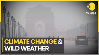 Shift in India's weather reflects dangers of climate change | WION Climate Tracker