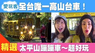 【宜蘭】全台唯一高山台車 太平山蹦蹦車 超好玩