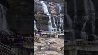 குற்றாலத்தின் இன்றைய நிலவரம் CourtallamNews | Courtallam | Waterfalls | shorts | Tiger Falls |