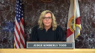 Sixth Judicial Circuit Court Pinellas County Adult Drug Court Arraignment - Judge Kimberly Todd