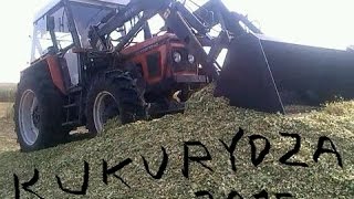 Kiszonka z Kukurydzy 2015!  Mais für die Silage 2015!