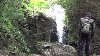 2021.05.12　百間滝　（愛知県新城市）