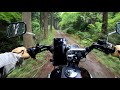 w650 秘境で森林浴するだけの動画 2021ver. 【高画質2.7Ｋ】