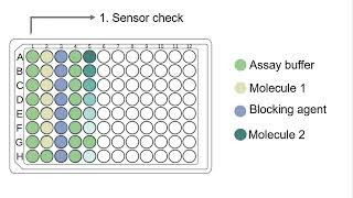 Bio-layer interferometry