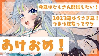 【雑談】あけおめ！！！！正月太り確定っぽい！！【薄荷爽凛 / Vtuber】