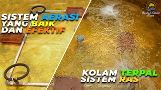 CARA MUDAH!! DAN BENAR MEMBUAT AERASI PADA KOLAM TERPAL DENGAN SISTEM RAS