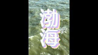 渤海玉珠号，坐船去大连