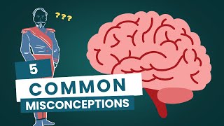 5 Common Misconceptions Everyone Believes (But Are Totally Wrong!)