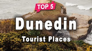 Top 5 Places to Visit in Dunedin, South Island | New Zealand - English