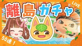 【あつ森生配信】夏だ！離島だ！ヒャクパーちゃんだ！離島50回でヒャクパーちゃんと出会う！🍊501連目～【離島ガチャ】