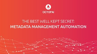 Metadata Management Automation | OCTOPAI