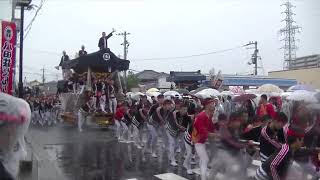 2017年 堺市 八田荘だんじり祭り 新道パレード（毛穴町③）