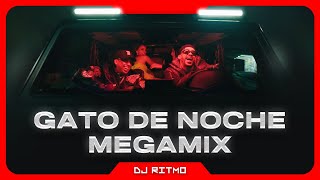 🔴 Mix GATO DE NOCHE Reggaeton Previa Verano 2023 | DJ RITMO