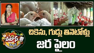 చికెను, గుడ్లు తినెటోళ్లు జర పైలం | Bird Flue Virus News | Patas News | 10TV News