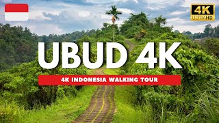 Ubud , Bali INDONESIA 🇮🇩 4K Walking Tour  | Campuhan Ridge Walk