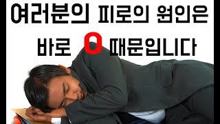 여러분들 피로의 원인은 바로 이것 때문입니다!!