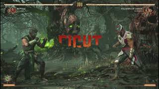 Mortal Kombat 1 - Invasions Season 1: Hotaru's Killer - Paladin Of Chaos \u0026 Secret Fight