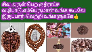 சிவ அருள் பெற ருத்ராட்ச வழிபாடு#சிவபெருமான் உங்க கூடவே இருப்பார்#வெற்றி உங்களுக்கே👍