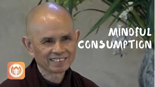 Mindful Consumption | Thich Nhat Hanh (short teaching video)