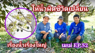 #กวินบินได้ EP.277 เรื่องน้ำเรื่องใหญ่ ให้น้ำผิดชีวิตเปลี่ยน #เมเม่ EP.52