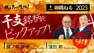 2023年干支銘柄（卯年関連株）をピックアップしてみた