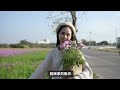 走春必去行程ep2！鹽水粉紅花海！波斯菊、百日菊同框美景擄獲少女心｜花藝之旅｜花裡 fori flower｜花藝教學｜花裡 fori flower