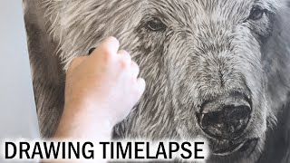 DRAWING TIME-LAPSE | Animal Art| Drawing a Polar Bear in Charcoal