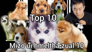 Mizo ui vulh hmeltha zual 10, top10