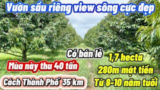 1,7 hecta, 200 cây sầu riêng 8-10 năm tuổi, cây to lực lưỡng, siêu đẹp. Cách TpHCM 100km.Giá 300tr/s