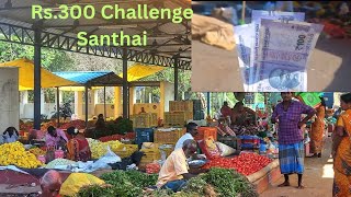 Rs.300 ரூபாய்க்கு இவ்ளோ சந்தைல வாங்கலாமா?  My Town Market Shopping Challenge Rs.300 @3SmartWonders