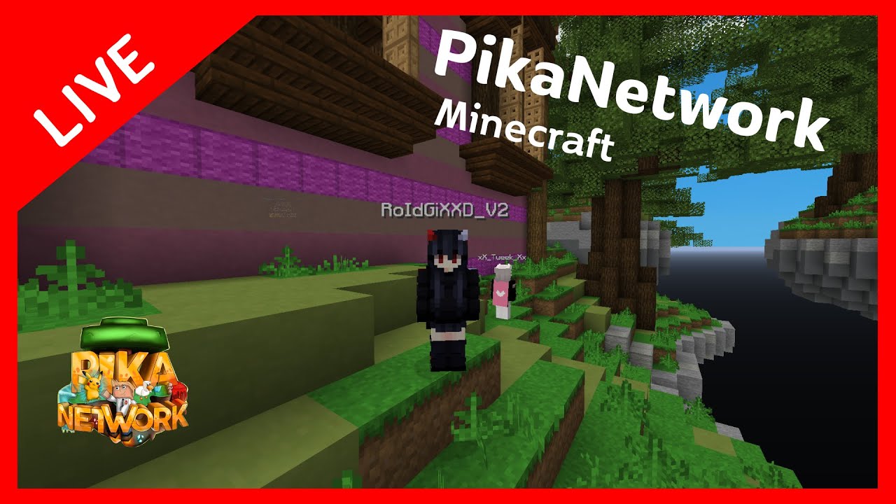 рџ ґlive Minecraft Pikanetwork Youtube