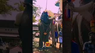 വടക്കുംനാഥൻ ഗണപതി || പന്തല്ലൂർ പൂരം 2k24 #viral #kerala #subscribe #elephant #shorts #shortvideo