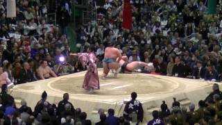 日馬富士-玉鷲/2017.3.25harumafuji−tamawashi/day14 #sumo