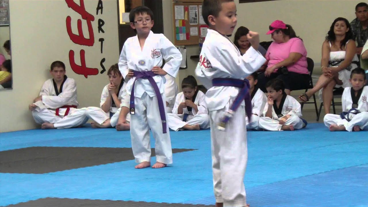 Taekwondo Purple Belt Poomsae Youtube