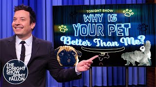 Why Is Your Pet Better Than Me?: Suitcase-Packing Dog, Beer-Chugging Pigs | The Tonight Show