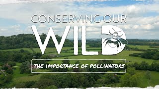 Conserving our Wild: the importance of pollinators