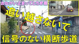 【信号のない横断歩道】おねがい止まってとちぎ県 （物理）