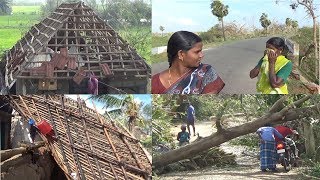 கஜா  புயலின் கோரத்தாண்டவத்திற்கு   பிறகு எங்கள் ஊரின் அவல நிலை    -Cyclone Gaja Damage area