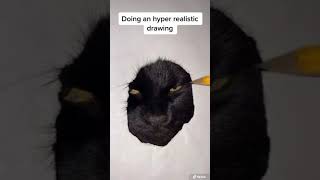 How to draw a hyperrealistic cat! 😹❤️