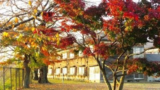 世界遺産 富岡製糸場 【秋の景色】 2014年 Tomioka Silk Mill