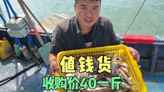 渔民老爸说一天挣500就够了，干活又不累，一天赚一点生活就好起来了【渔民小梁】