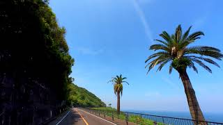 空港線～恒久～赤江～宮崎空港～郡司分～総合運動公園～こどものくに～青島～堀切峠～日南海岸～堀切峠