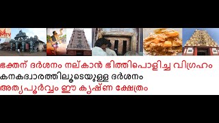 ഭക്തന് ദർശനം നൽകാൻ ഭിത്തി പൊളിച്ച വിഗ്രഹം;കനകദ്വാരത്തിലൂടെയുള്ള ദർശനം;അത്യപൂർവ്വം ഈ കൃഷ്ണക്ഷേത്രം