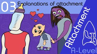 Explanations of attachment - Attachment [A-Level Psychology]