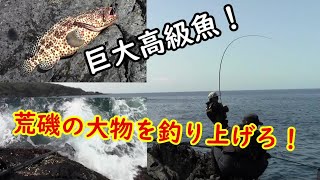 【屋久島南西部】の荒磯で釣りしたら巨大高級魚が釣れて一同騒然！　　　【後編】