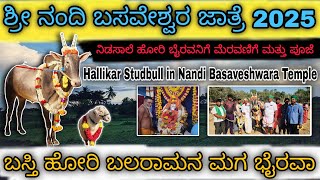 Nandi Basaveshwara Jatre 2025/basthi hori balarama maga bhairavaa/ಶ್ರೀ ನಂದಿ ಬಸವೇಶ್ವರ ಜಾತ್ರೆ/ನಿಡಸಾಲೆ