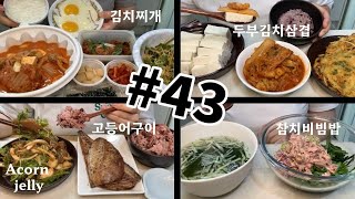 ENG) #43 // 오이냉국,참치비빔밥,김찌,제육,고등어구이,두부김치삼겹 먹는 일상ㅣ아주 그냥 오장육부가 건강해질 것 같은 식사.