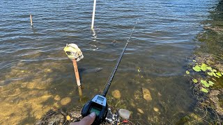 Testing out my Abu Garcia Max DLC! (Unsuccessful fishing day)