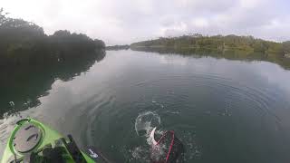 Currambene Creek Flathead Fishing